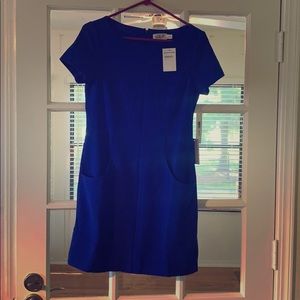 Eliza J Cobalt Blue Dress